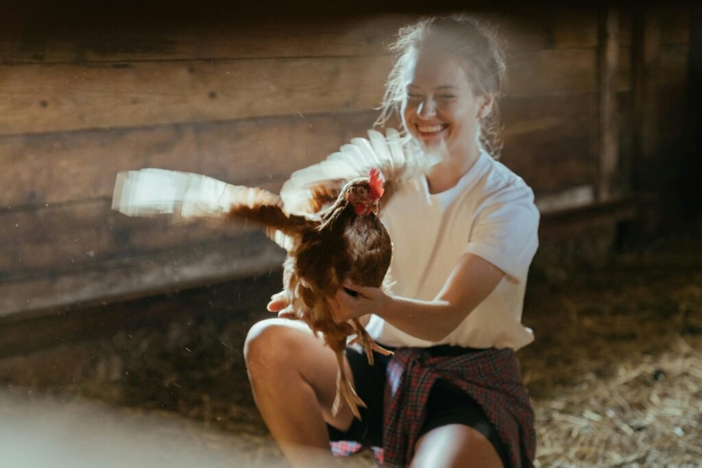 Happy young woman with a hen inside a rustic barn, showcasing farm life moments.